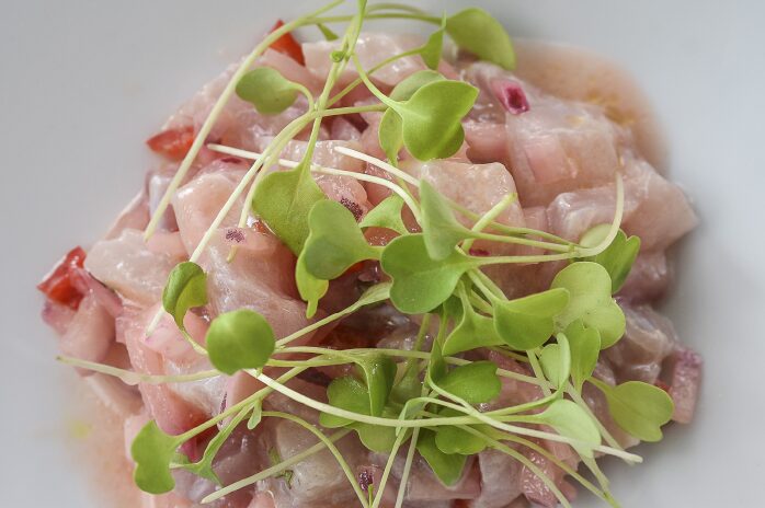 Ceviche